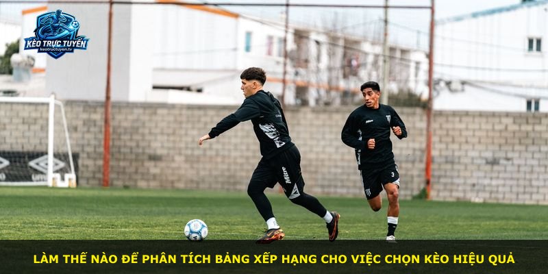 Làm thế nào để phân tích bảng xếp hạng cho việc chọn kèo hiệu quả