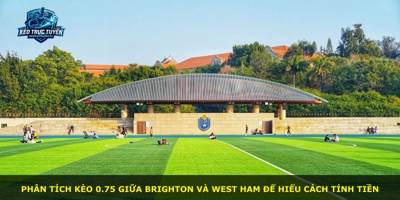 Phân tích kèo 0.75 giữa Brighton và West Ham để hiểu cách tính tiền