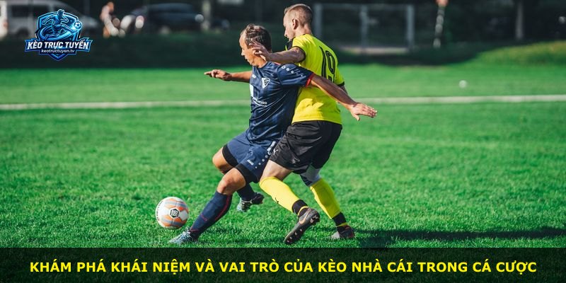 Khám phá khái niệm và vai trò của kèo nhà cái trong cá cược