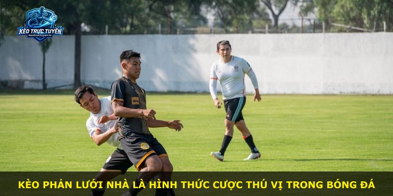 Kèo phản lưới nhà là hình thức cược thú vị trong bóng đá