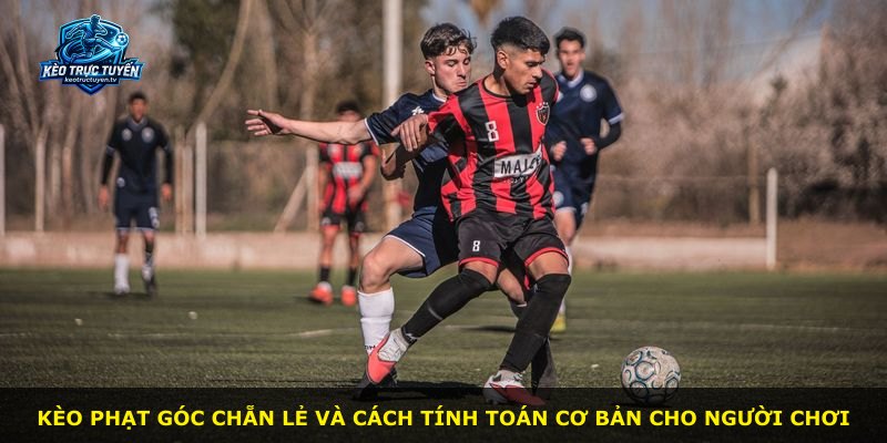 Kèo phạt góc chẵn lẻ và cách tính toán cơ bản cho người chơi