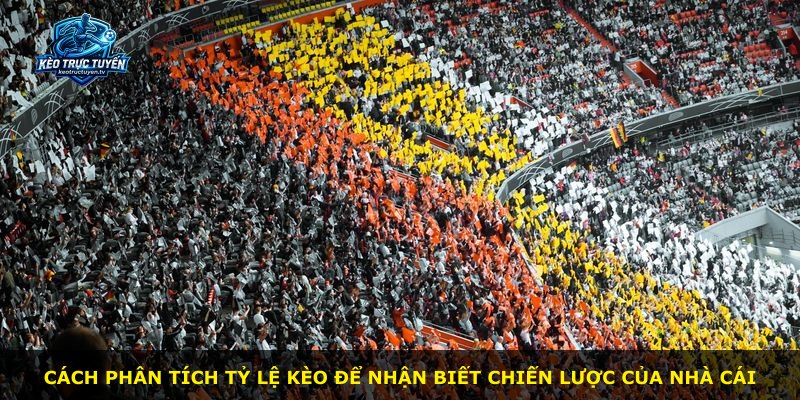 Cách phân tích tỷ lệ kèo để nhận biết chiến lược của nhà cái