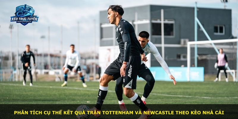 Phân tích cụ thể kết quả trận Tottenham và Newcastle theo kèo nhà cái