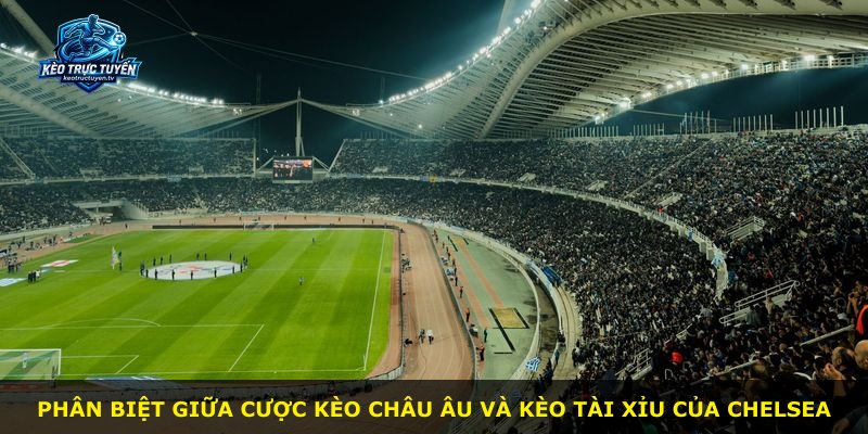 Phân biệt giữa cược kèo châu Âu và kèo tài xỉu của Chelsea