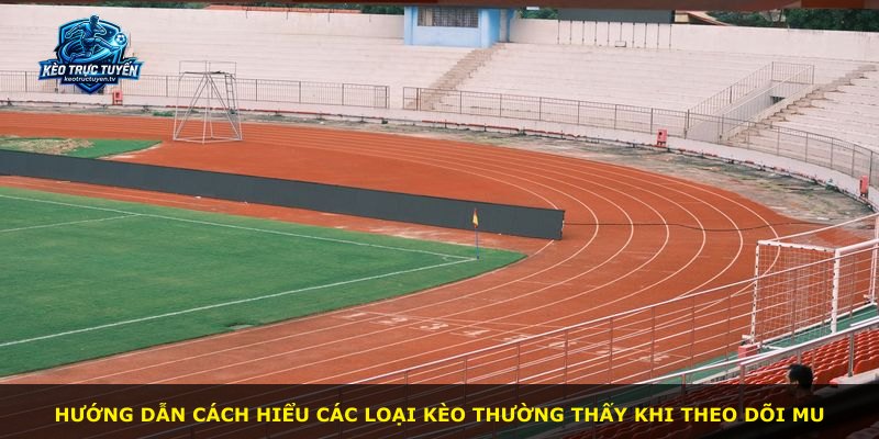Hướng dẫn cách hiểu các loại kèo thường thấy khi theo dõi MU