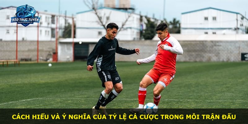 Cách hiểu và ý nghĩa của tỷ lệ cá cược trong mỗi trận đấu